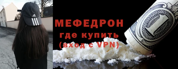 индика Богородск