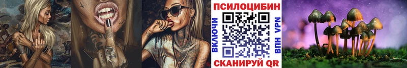 Галлюциногенные грибы GOLDEN TEACHER Киселёвск